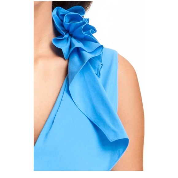 Elie Tahari Camille Sleeveless Ruffled Collar Dress, size 2 - Picture 2 of 8